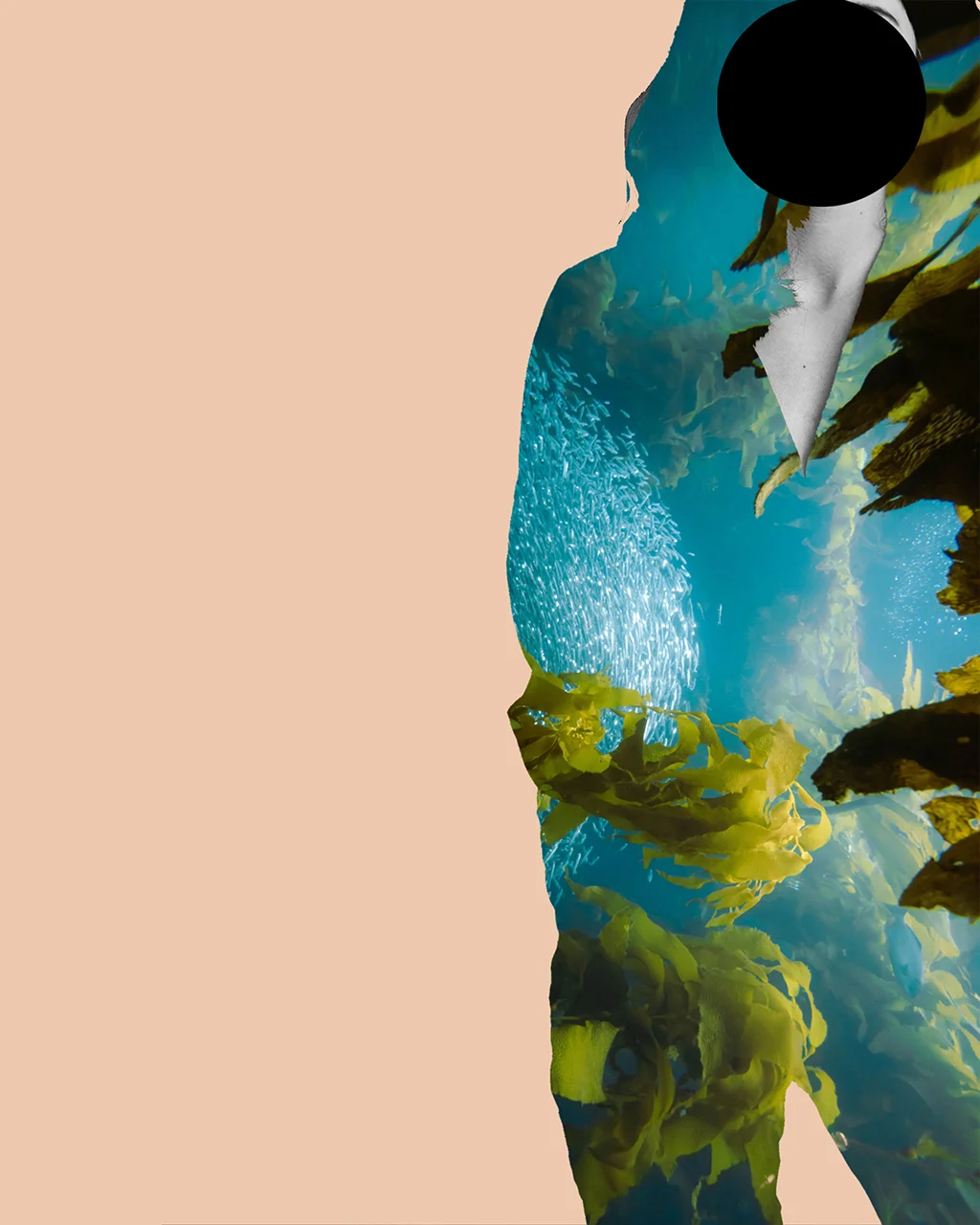 Editorial silhouette filled with underwater seaweed and a black circle — the raw material behind sea cell fabric